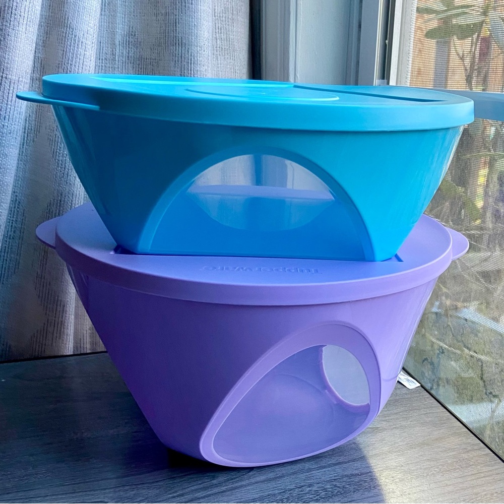 Tupperware Vision Bowl Set of 2  Blue 2.5L & Purple 4.3L
